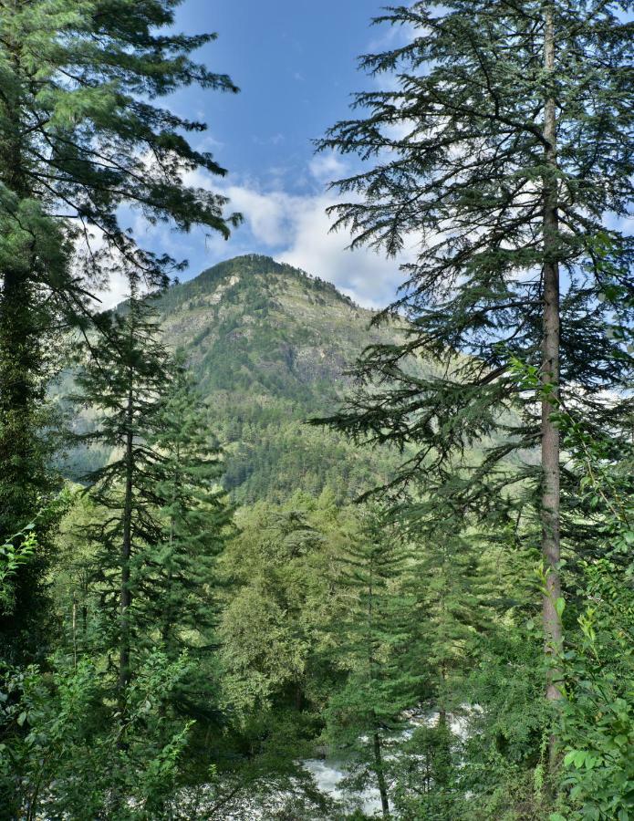 Parvati Kuteer Riverside Resort Касоль Экстерьер фото